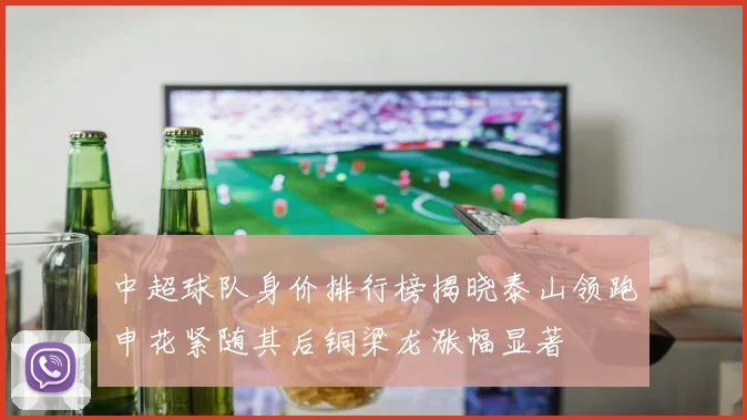 中超球队身价排行榜揭晓泰山领跑申花紧随其后铜梁龙涨幅显著