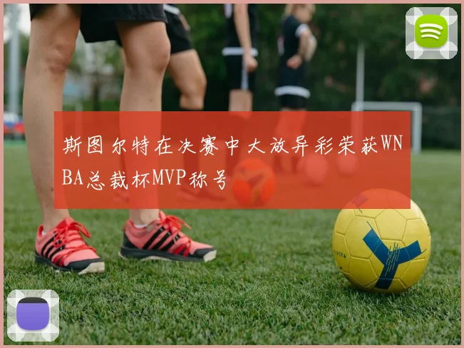斯图尔特在决赛中大放异彩荣获WNBA总裁杯MVP称号
