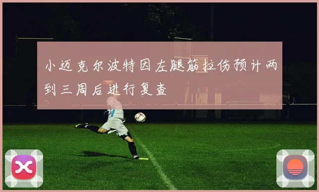小迈克尔波特因左腿筋拉伤预计两到三周后进行复查